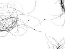 outsect