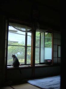 くじ
