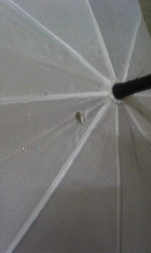 200805242119000.jpg