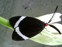 P1000580.jpg