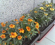 200706211730000.jpg