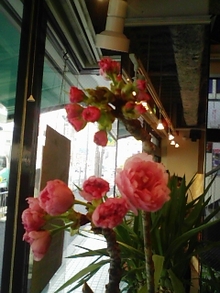 070408_092108.jpg
