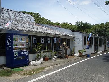 奄美大島（加計呂麻島）～うみがめ隊のブログ～