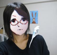 ピノコ研究所