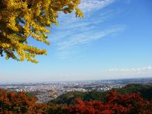 展望台からの景色