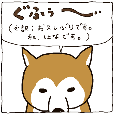 黒柴さんと赤柴さんの日常-いつの間にか1