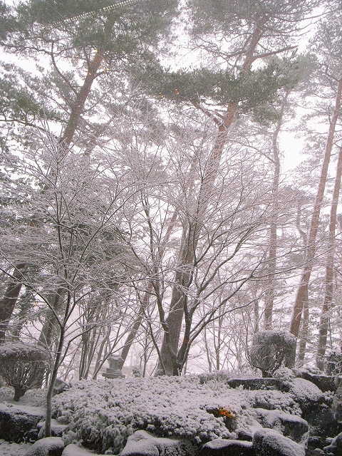 FUKUSHIMA3