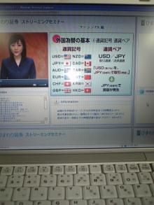 ひまわり証券_2