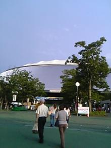060812_174120_M.jpg