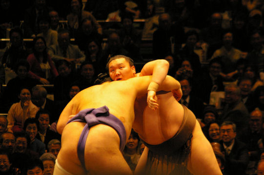 sumo11