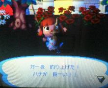 ｶﾞｰ