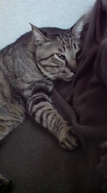 20080815113859.jpg