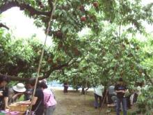 basuthua0707j4y