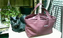 200809051026000.jpg