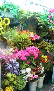 200809051613001.jpg