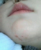 20080208101122.jpg