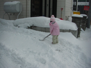 元代表の専業主夫な育児日記 ~北海道江別市から~