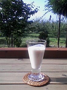 080905_0811~01.jpg