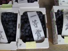 20年度1等賞