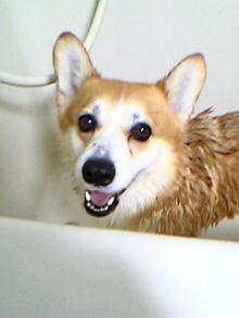 20060610