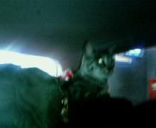 200607312008000.jpg