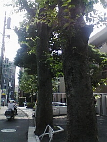 080720_0757~01.jpg
