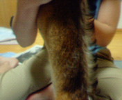 200507062115000.jpg