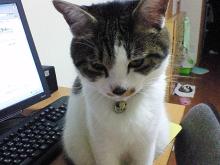 しょぼん