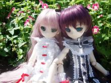MDDアル&エセル1