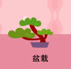 盆栽