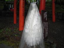 大麻