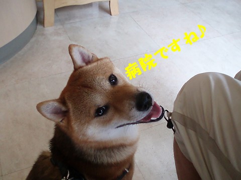 病院ですね