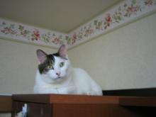 ８．９．１０…シビル&dodici&Treize