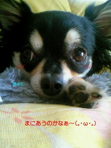 200806271706000.jpg