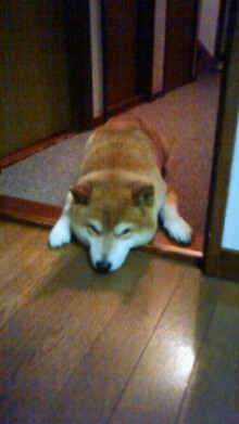 200806122310000.jpg