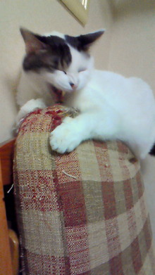 200810012259000.jpg