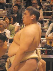 総見6