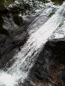 20070421105908.jpg