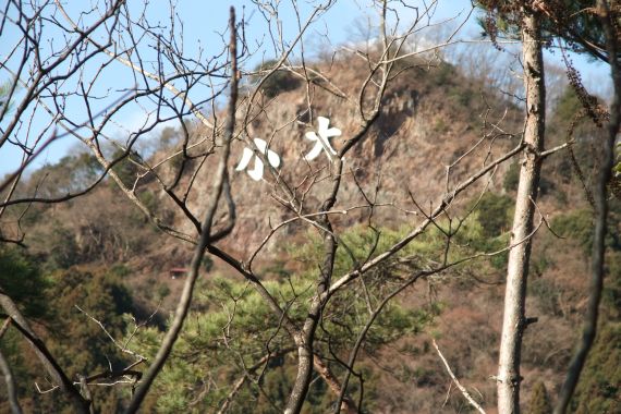 あっことひろの楽しい山登り日記