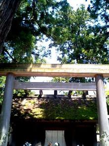 080506_1102~0001.jpg