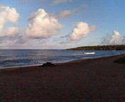 NEC_0039.jpg