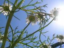 040410coolpix37003.jpg