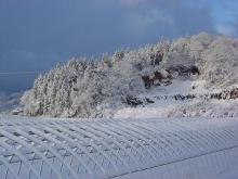 雪に光る里山