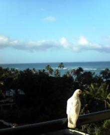 hawaii