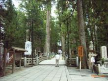 RIMG0713.JPG