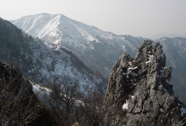 jirougyu1