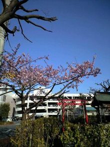 幕末機動警察隊・新選組 北総新選組案内処-090221_1544~0001.jpg
