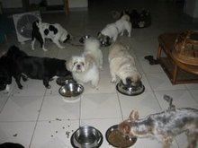 食事
