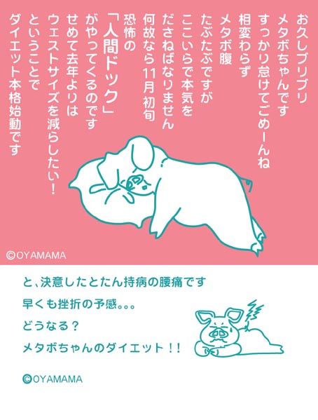 メタボちゃん８