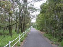 cycling2